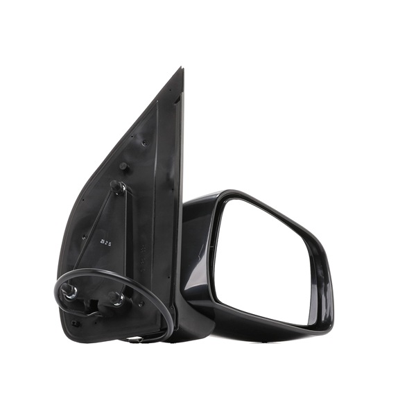 BLIC 5402-04-1191558P NISSAN NP300 PICKUP 2025 Sivupeili