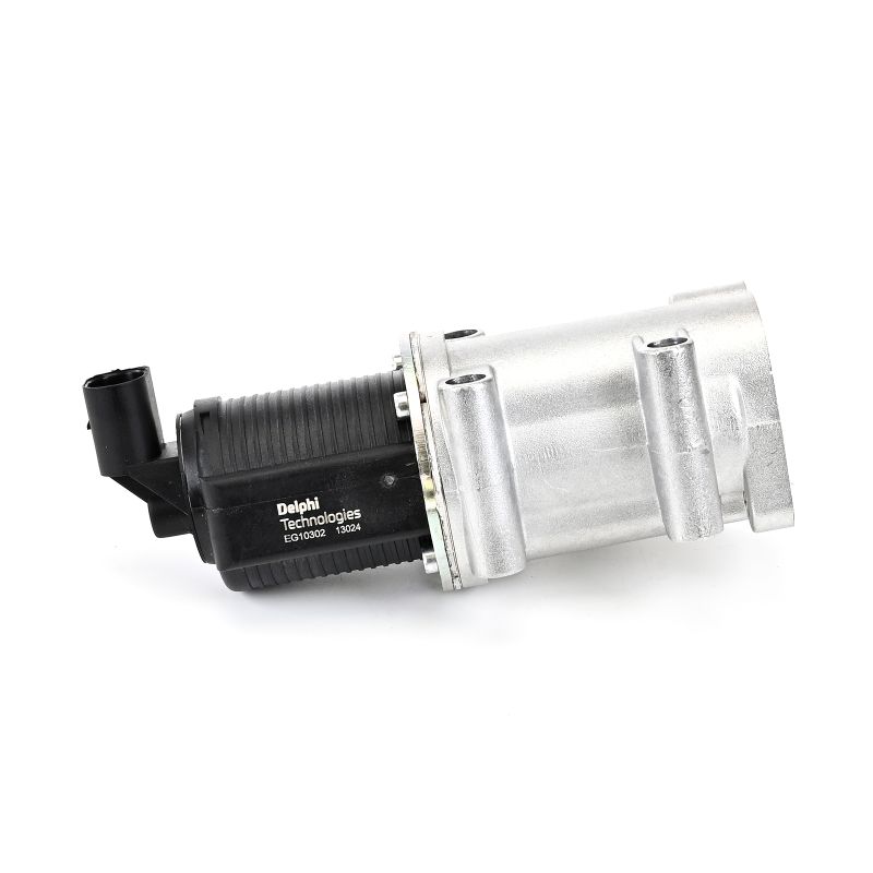 DELPHI Válvula EGR EG10302-12B1 EG10302-12B1 Válvula EGR DELPHI FIAT PUNTO