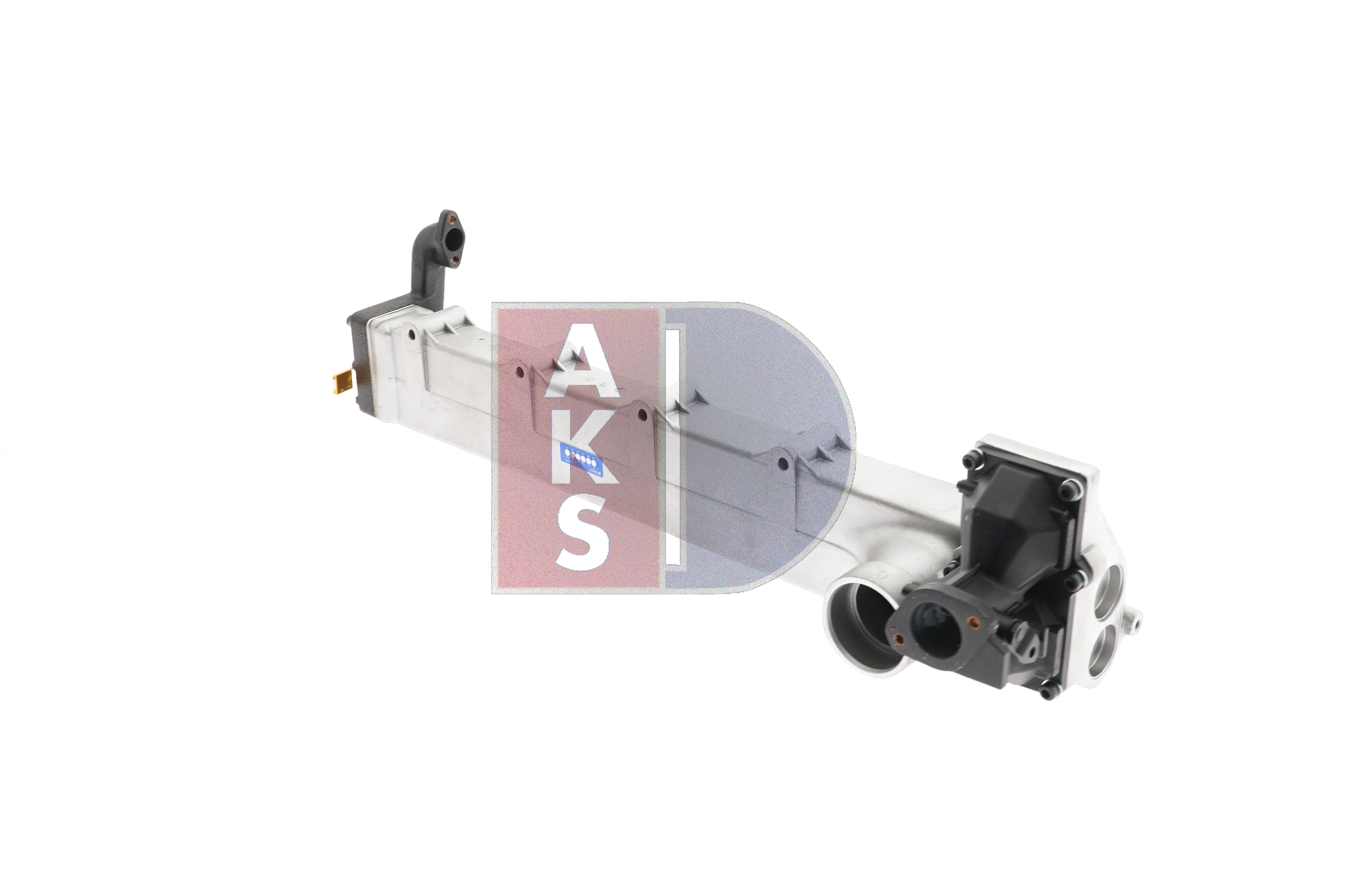 AKS DASIS 260028T Module-EGR
