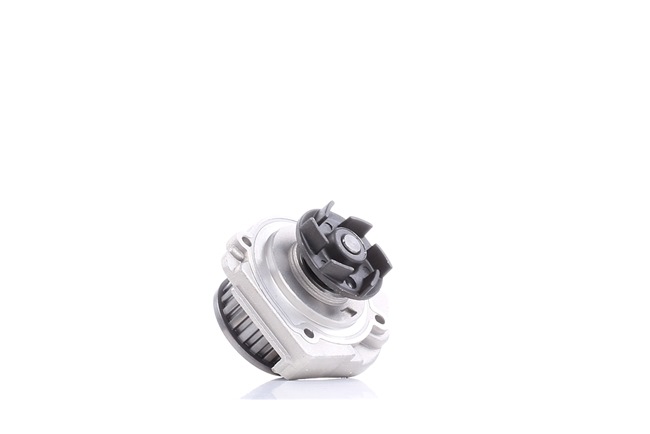DOLZ S161 Pompe à eau