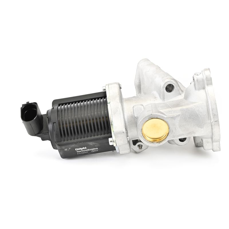 DELPHI Válvula EGR EG10257-12B1 Válvula EGR DELPHI Fiat PUNTO EG10257-12B1