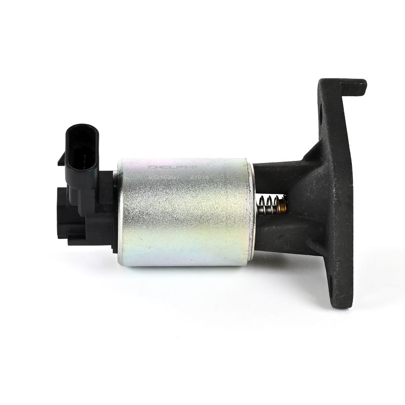 DELPHI EG10291 EGR valve