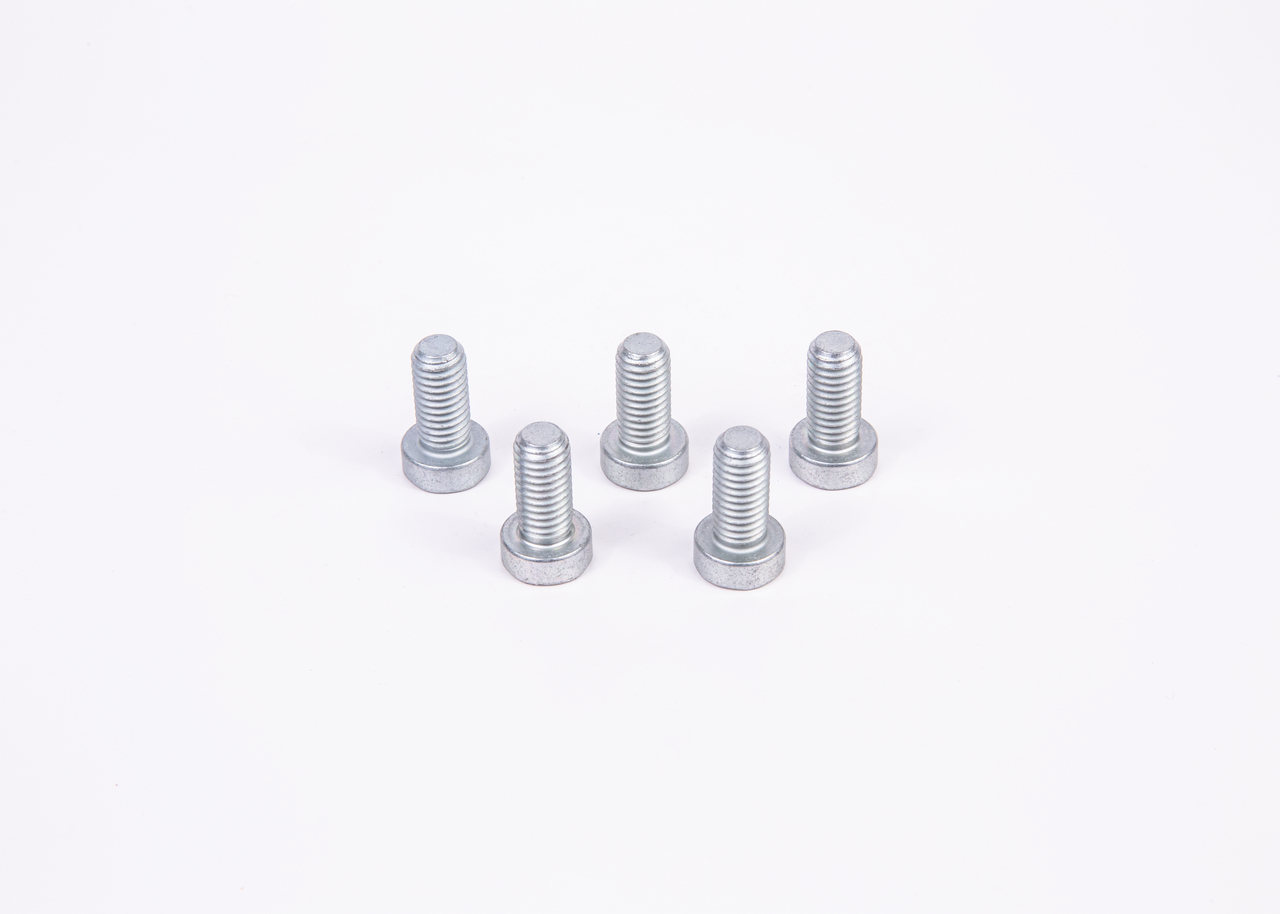 BOSCH F 01M 100 684 Screw-image-774100