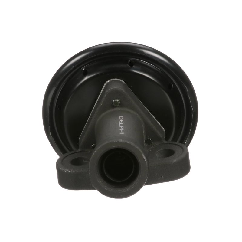 DELPHI EG10245-11B1 EGR-klapp