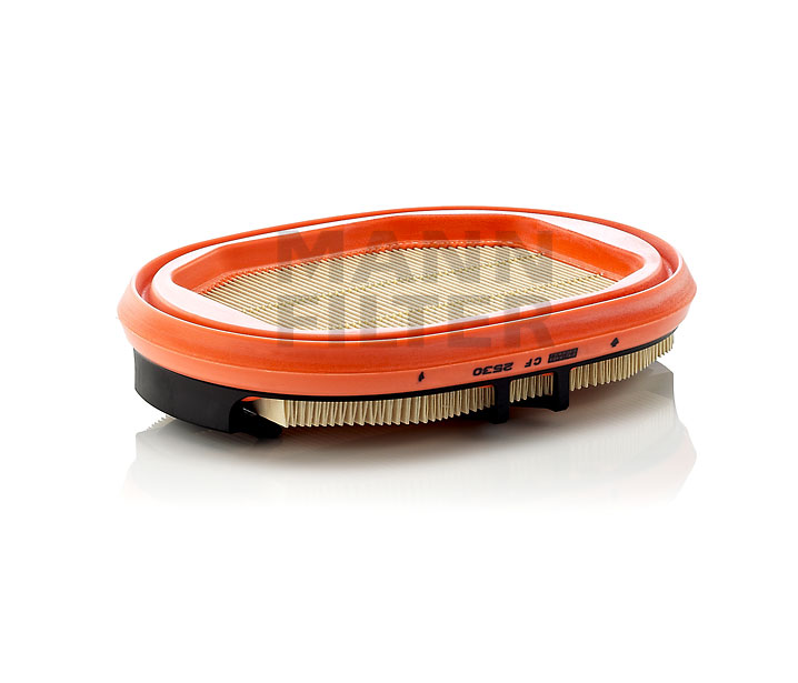 MANN-FILTER CF 2530 Sekundärluftfilter