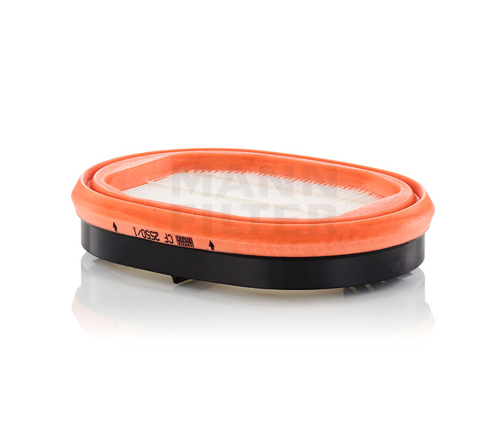 MANN-FILTER Sekundärluftfilter CF 2550/1 MANN-FILTER CF 2550/1 Sekundärluftfilter CITROЁN C3 Kosten