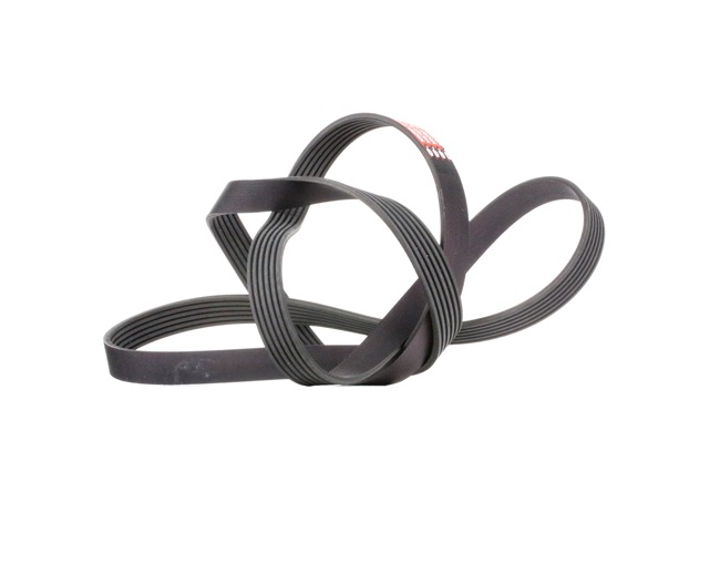 GATES 6PK1920 Poly-V-snaar A6 4F Avant prijs