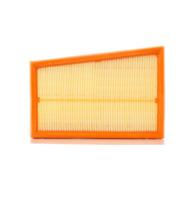 PURFLUX A1317 Air filter