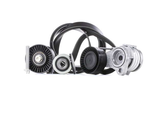 INA 529 0031 10 Keilrippenriemensatz BMW E65 730i, Li 258 PS Benzin Kosten