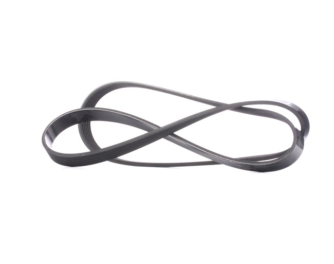 DAYCO 6x1381 Courroie Poly-V