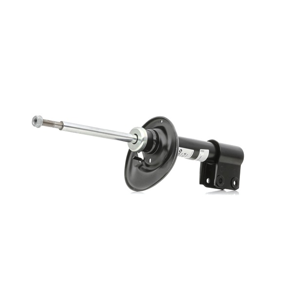 SACHS 315 134 Amort