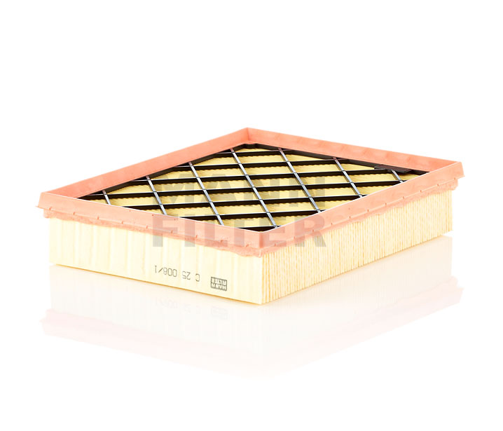MANN-FILTER C 25 008/1 Air filter