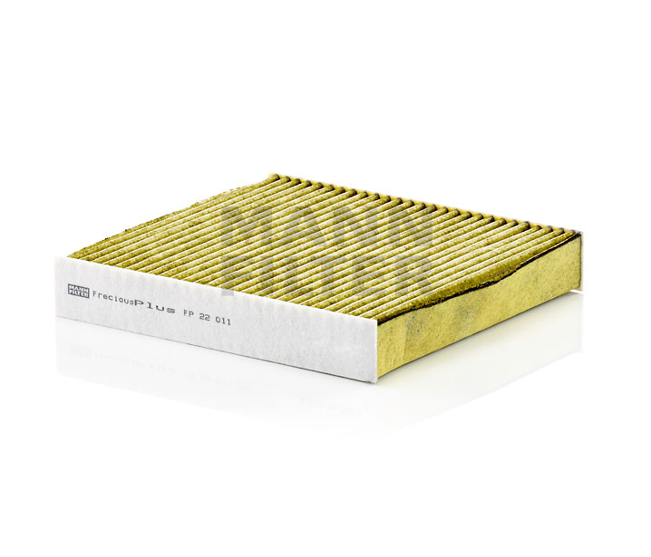 MANN-FILTER FP 22 011 Mitsubishi Kabinefilter hvad koster originale