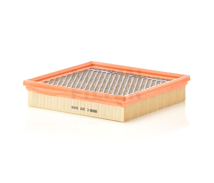 Filtro de ar MANN-FILTER CHRYSLER C 22 029