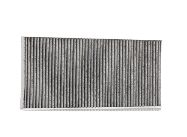 STARK SKIF-0170252 Filtrs, Salona telpas gaiss