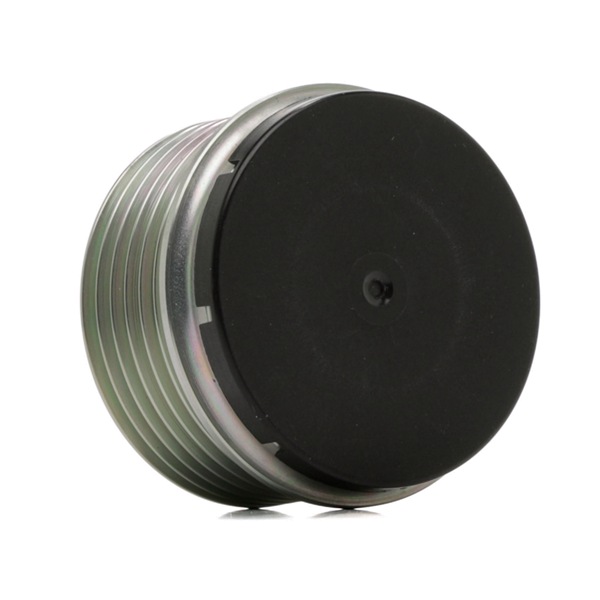 Roda livre do alternador 535 0285 10 INA LR077394 LAND ROVER