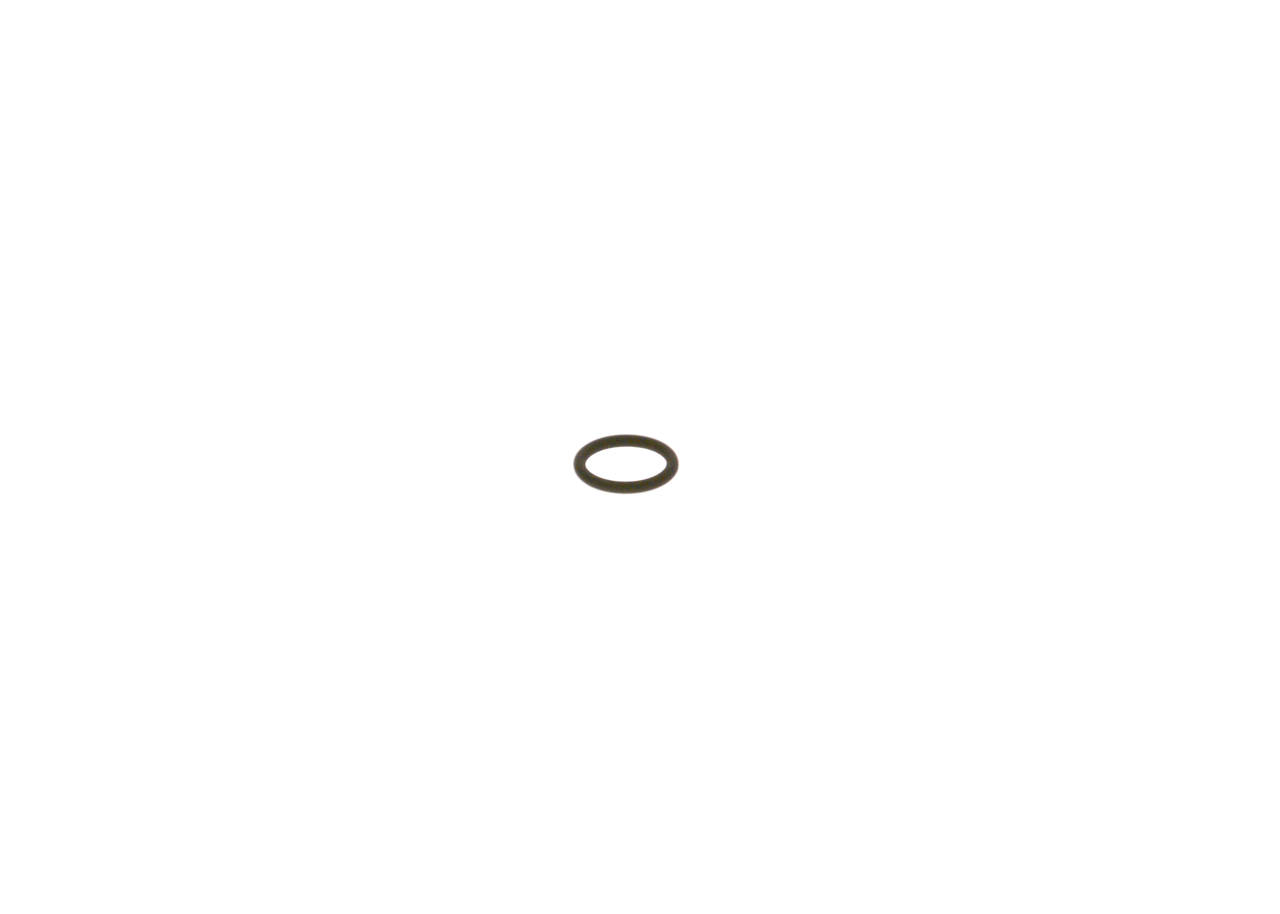 BOSCH F 00R J01 947 Seal Ring-image-7992000