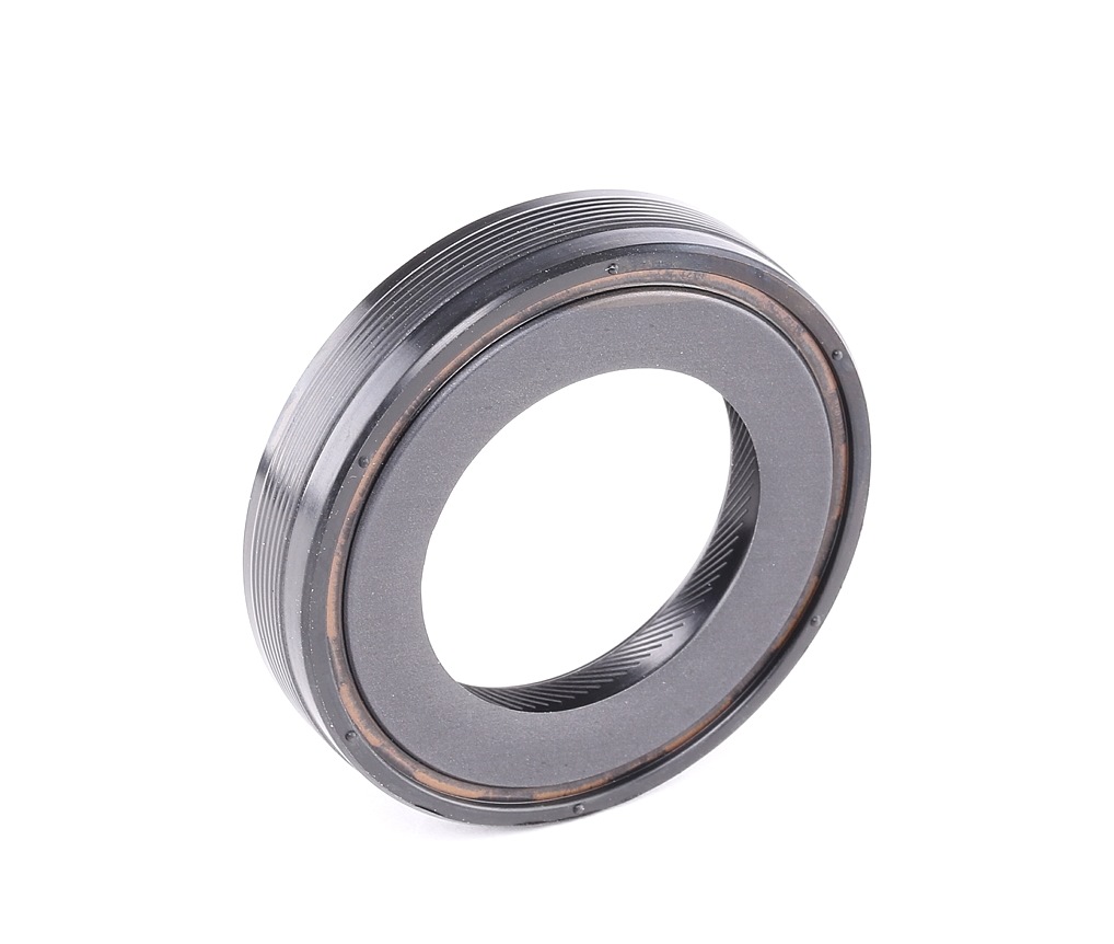 SASIC 1950002 Gaskets Right-image-7992864