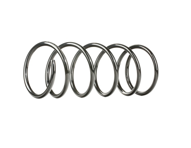 Ressort de suspension SKCS-0040179 STARK 96FB-5310F-B FORD