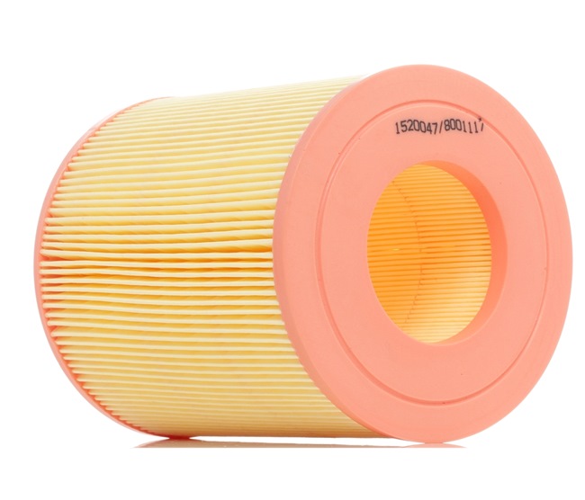 RIDEX 8A0094 Air filter