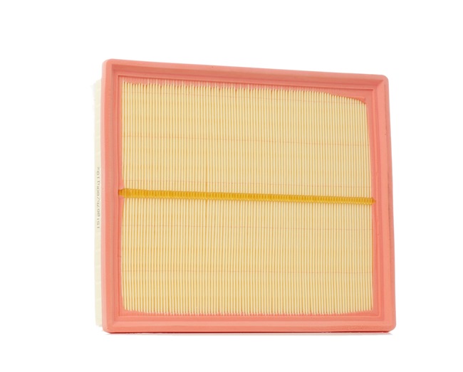 RIDEX 8A0192 Filtro de ar