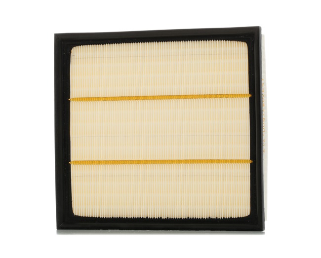 RIDEX 8A0220 Vzduchový filter