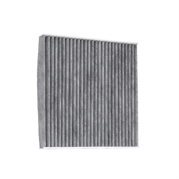 RIDEX 424I0190 Pollen filter
