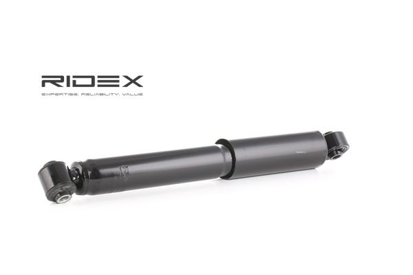 RIDEX 854S0035 Dämpfer Fiat Stilo Kombi 1.6 16V 103 PS Benzin Kosten