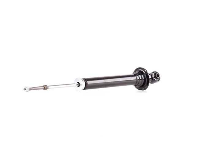 RIDEX 854S0603 Federbein Lexus IS XE10 300 (JCE10) 213 PS Benzin Kosten