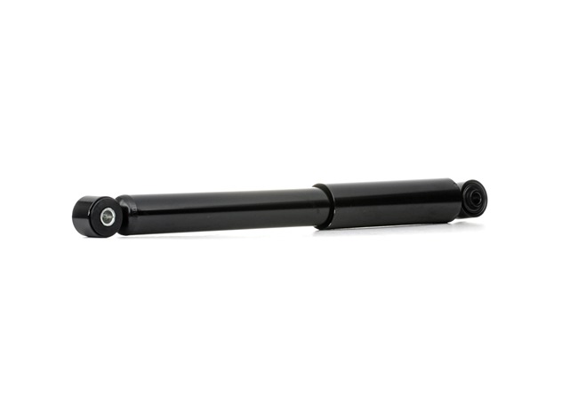 Amort 854S0667 RIDEX GS1D-28-700D FORD