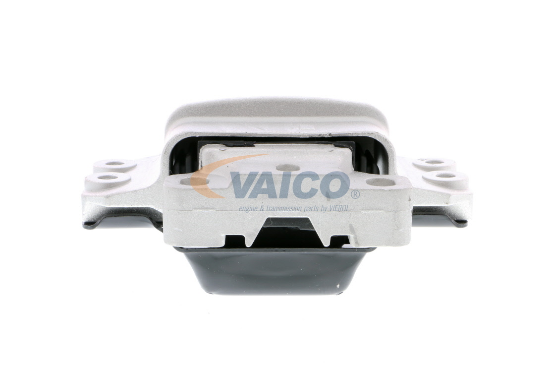 Piekare, Dzinējs V10-1741 VAICO 3C0 199 555 N AUDI