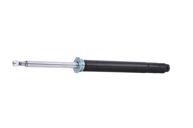 RIDEX 854S1376 Amortecedor