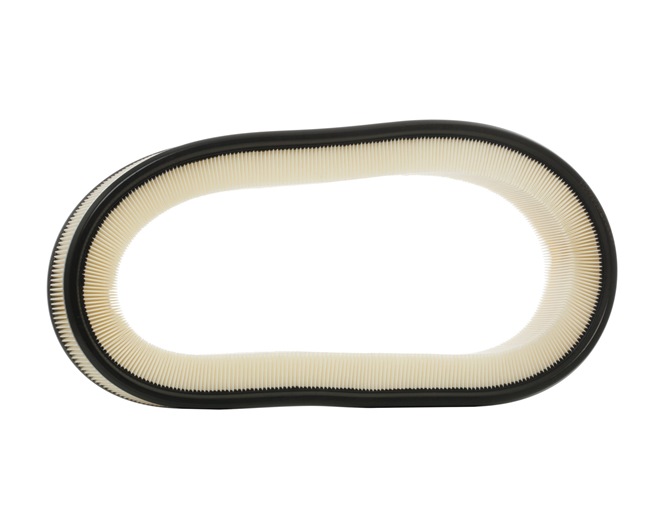 Filtre à air 8A0195 RIDEX A 003 094 58 04 MERCEDES-BENZ