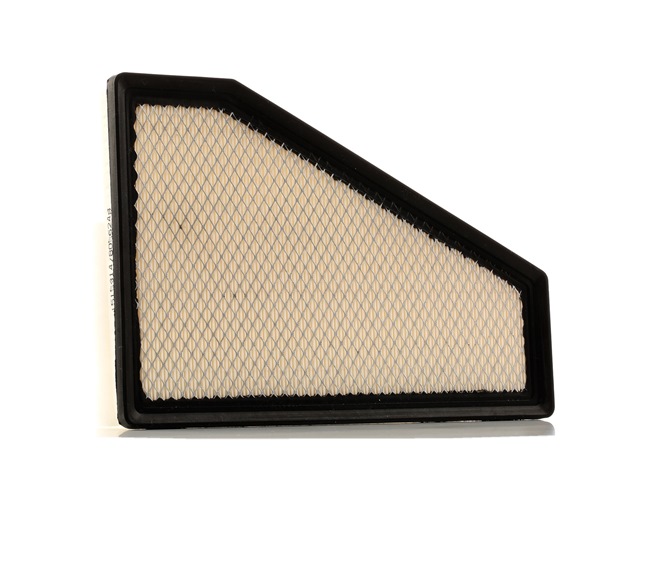 RIDEX 8A0290 Filtro aria RIDEX 8A0290 Filtro aria