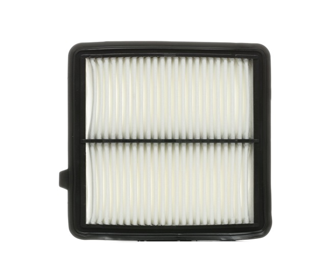RIDEX 8A0289 Vzduchový filter