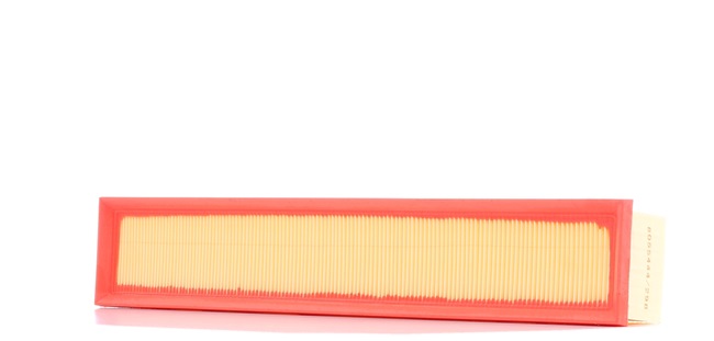 RIDEX 8A0422 Filtre à air