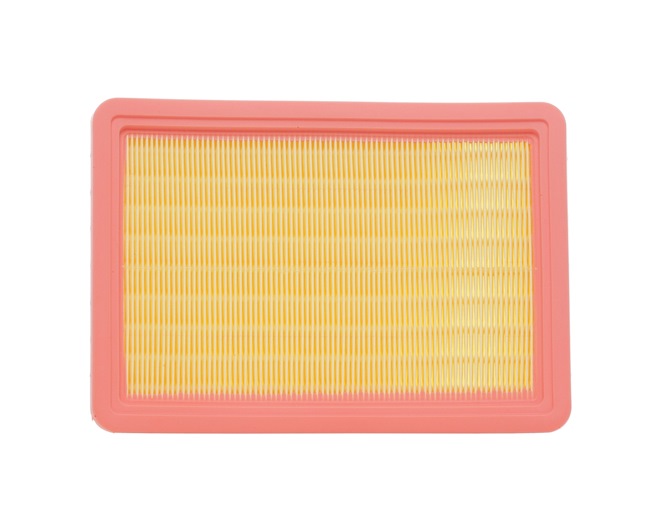 RIDEX 8A0454 Ilmansuodatin