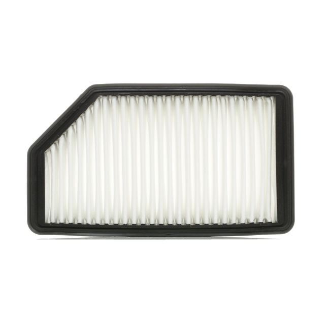bil Luftfilter RIDEX 8A0480 køb