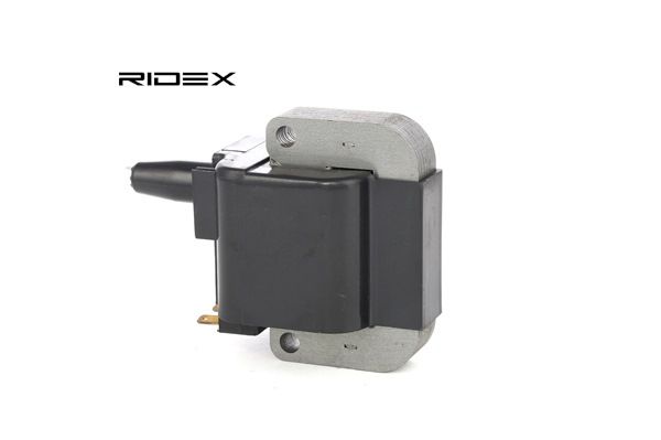 car Ignition coils RIDEX 689C0117 buy