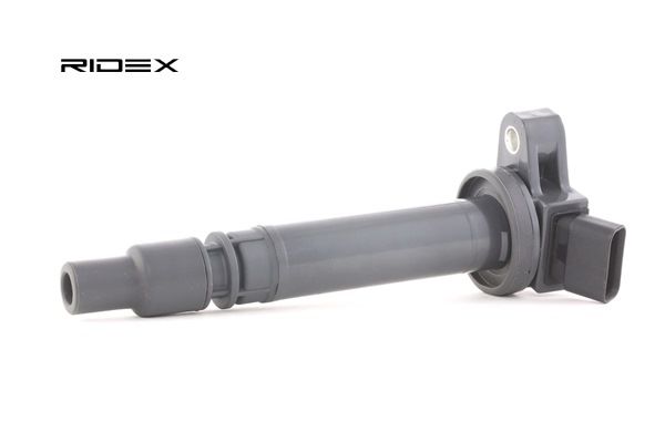 RIDEX 689C0124 Süütepool