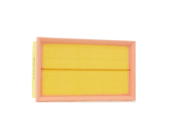 RIDEX 8A0510 Filtre à air