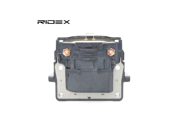 Zündspule 689C0131 RIDEX 90919-02163  TOYOTA