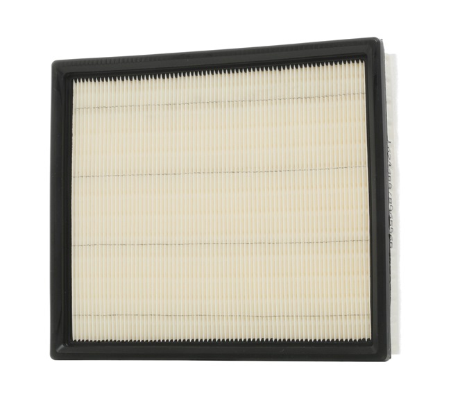 RIDEX 8A0485 Filtro de aire