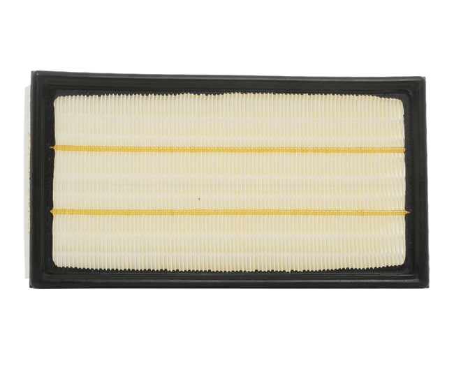 RIDEX Luftfilter JAGUAR 8A0423