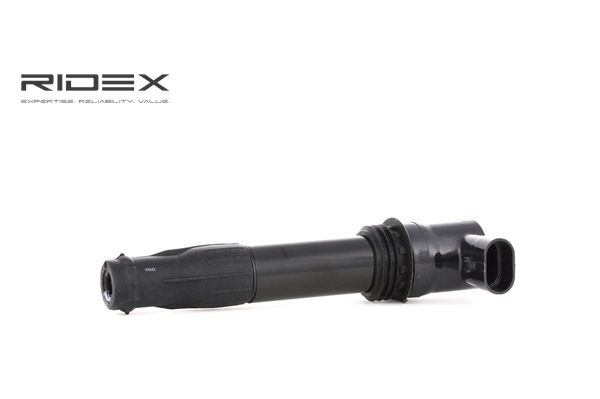 RIDEX 689C0260 Zündspule Rover 75 rj 2.5 V6 177 PS Benzin Kosten