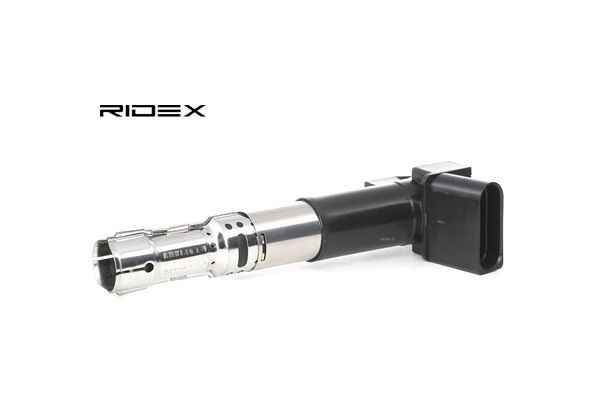 Bobine d'allumage 689C0230 RIDEX 066 905 100C Volkswagen