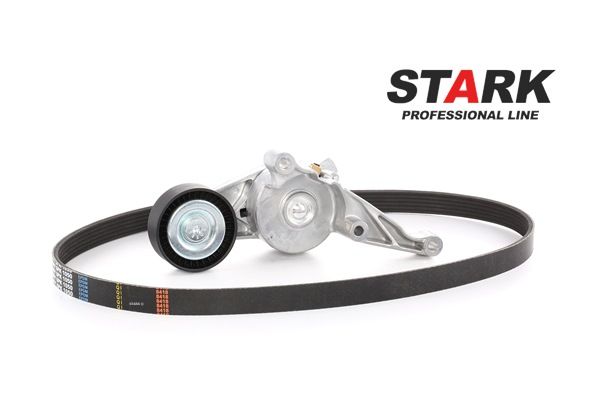 STARK SKRBS-1200006 Sada klinového rebrovaného remena Passat B6 2.0 TDI 140 KS nafta cena