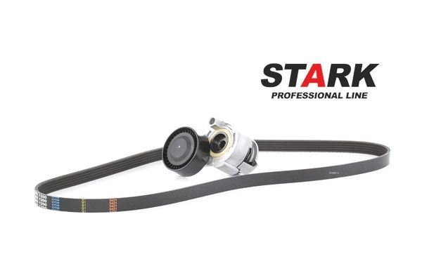 STARK SKRBS-1200010 Multiriem set Renault Clio 2 1.4 16V 95 Pk Benzine prijs