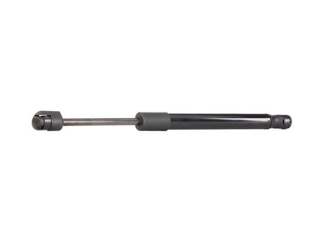 RIDEX 219G0224 Kofferraum BMW E36 Cabrio 325i 192 PS Benzin Kosten