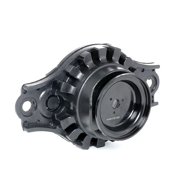 RIDEX 1180S0138 Támcsapágy, gólyaláb